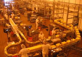 Inside the cheese factory